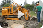 stump grinding