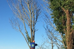 climbing
