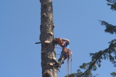 working_5